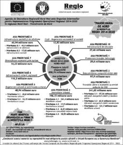 infografic regio final